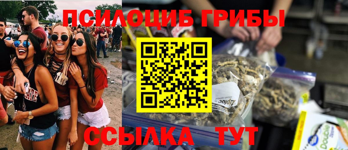 Псилоцибиновые грибы прущие грибы  Вход с VPN  Галлюциногенные грибы мицелий  Киселёвск 